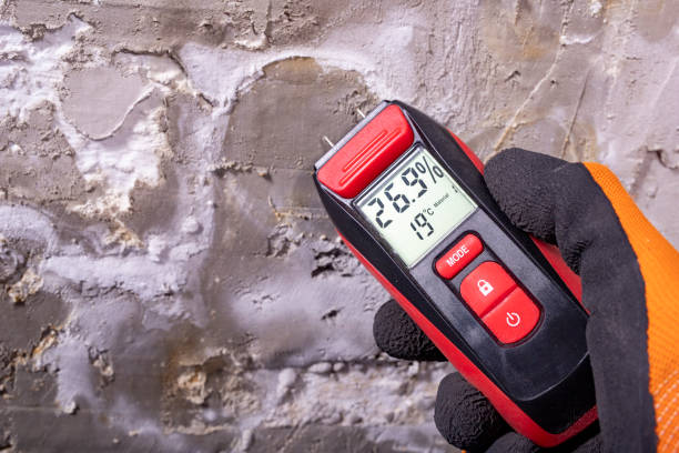 Office Mold Removal Services in Quanah, TX