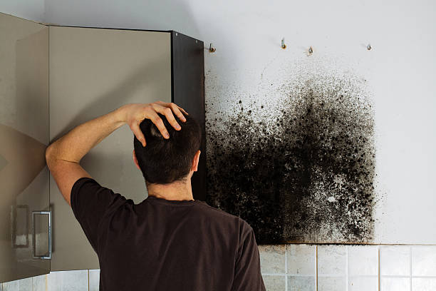 Best Mold Cleaning Services  in Quanah, TX